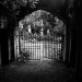Highgate_Cemetery_London_October_2002,_image_8